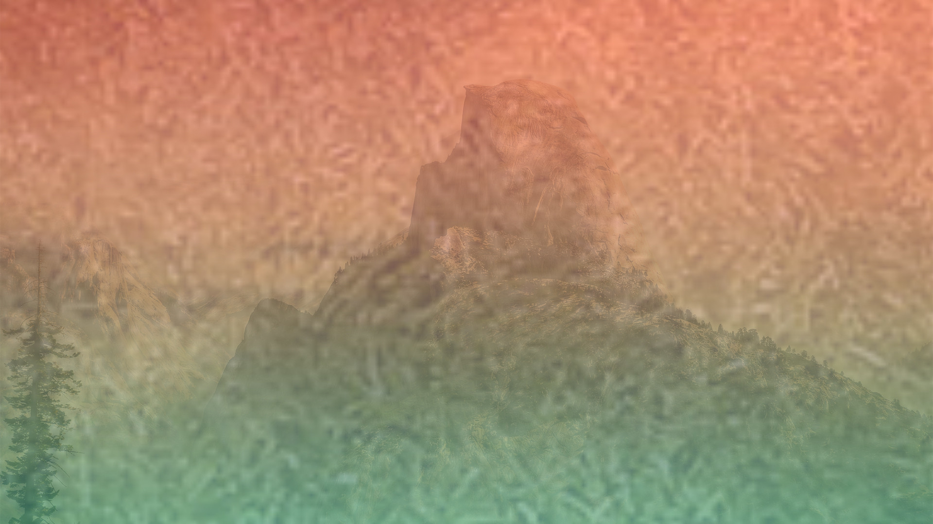 发手机号软件app